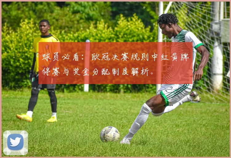 球员必看：欧冠决赛规则中红黄牌停赛与奖金分配制度解析。